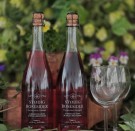 Stødig alkoholfri sider 750 ml - Lien gård thumbnail