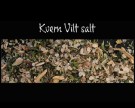 Viltsalt med traktkantarell thumbnail